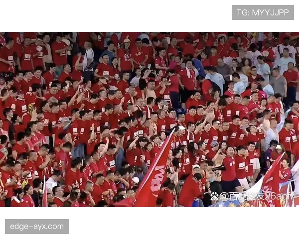 布达佩斯球场迎来国际赛事，球迷热情高涨引关注