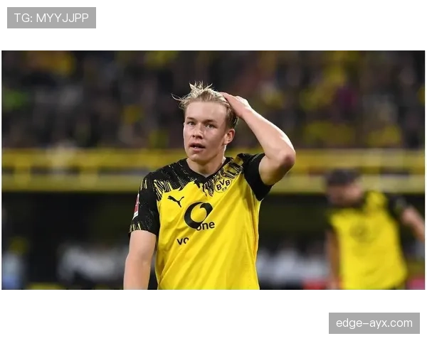 沃尔夫斯堡足球俱乐部引进新援，力争战斗力稳步提升