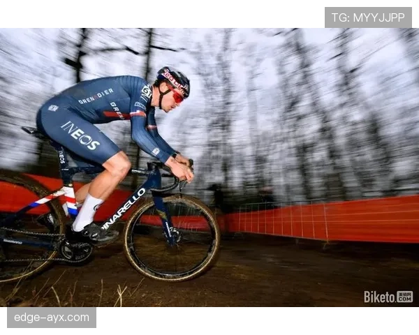 科克比赛稳定性分析揭示提升团队表现的关键因素