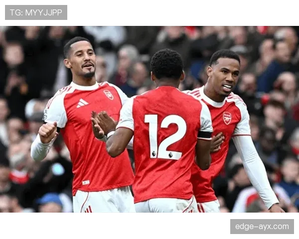 富勒姆最新引援增强阵容实力，备受期待冲击新赛季英超表现