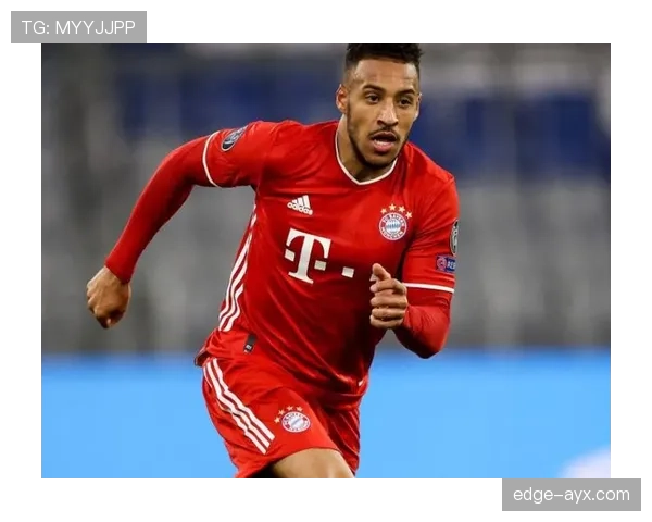 德甲转会分析报告