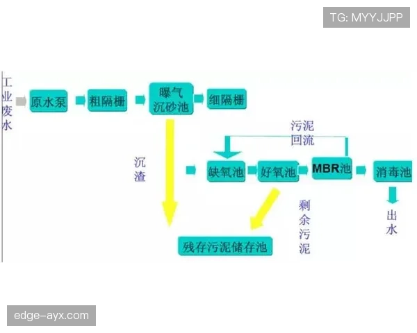 坎塞洛与沃克：技术特点与防守路线对比分析