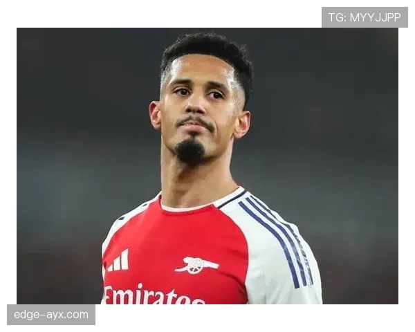 威廉·萨利巴：法国国家队轮换体系中的角色分析